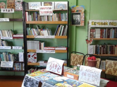 Новоельдяковская сельская библиотека