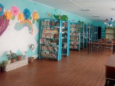 Новокулындинская сельская библиотека Чистоозерного района