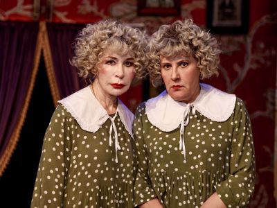 Билеты на Семейный переполох / Театр | Афиша | ИнфоТаймс