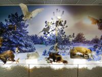 Пуровский районный историко-краеведческий музей