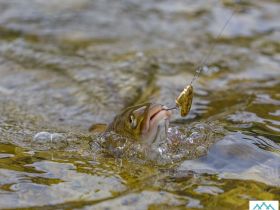 Рыбалка на реке Туолба