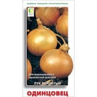 Лук репчатый Одинцовец