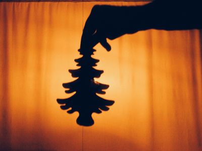 Билеты на История ёлочки. Теневой мастер-класс (Театральная долина) / Театр | Афиша | ИнфоТаймс