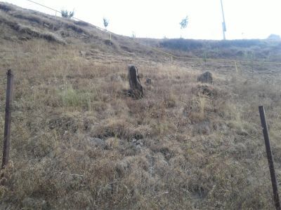 Остатки древнего кладбища