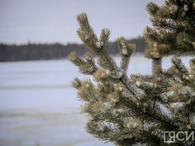 В Якутии представили туристические маршруты для активного семейного отдыха