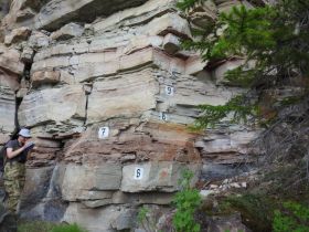 В Якутии ученые собрали уникальные образцы кембрийского периода