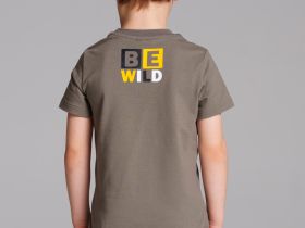 Фуфайка трикотажная для мальчиков (футболка)