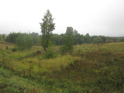 Памятное место, где прошло детство советского зоолога В.В.Станчинского