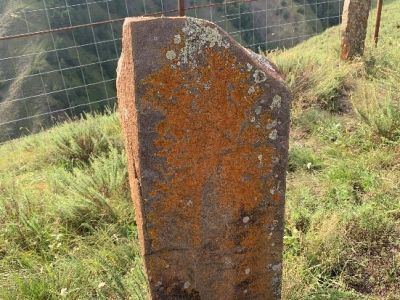 Стела № 36 раннемусульманского кладбища № 3 архитектурного комплекса "Мусийкъонгийкоте"