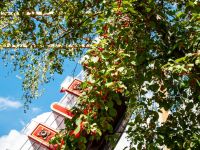 Парк Маяковского