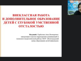 Вебинар "Внеклассная работа и дополнительное образование детей с глубокой умственной отсталостью"