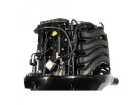 4х-тактный лодочный мотор GOLFSTREAM F100FEL-T EFI