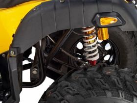 Квадроцикл RAPTOR Max Pro 250 (жёлтый/чёрный) (2024)