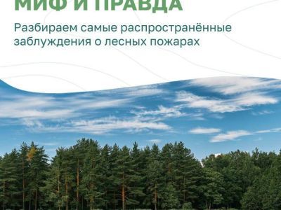 Миф и правда о лесном пожаре