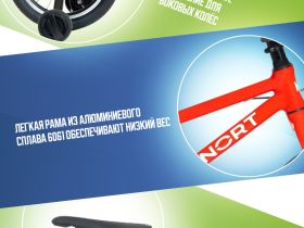 Детский велосипед Benort Amber 16, год 2026, цвет Красный