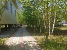 «Авито Недвижимость»: какие загородные дома с участками продаются в Якутске