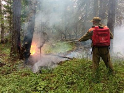31 июля: в Мирнинском районе действуют три лесных пожара
