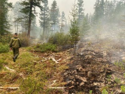 Девять штрафов на 1,26 миллиона рублей оформили сотрудники Минэкологии Якутии