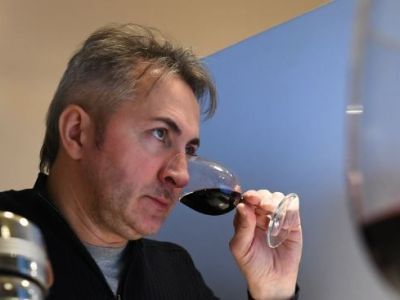 «Винный гид России - 2019»: испытания начались