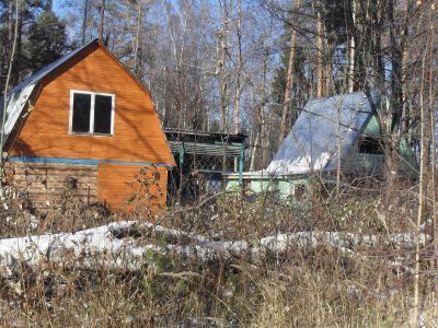 Ансамбль усадьбы Карповой А.Г., XIX в.