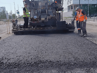 В Якутске подрядчика обязали посадить новые деревья взамен вырубленных