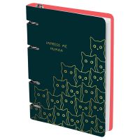 Тетрадь на кольцах MESHU "Amazing cats" А5 100 л, картон, матовая ламинация, выборочный УФ-лак