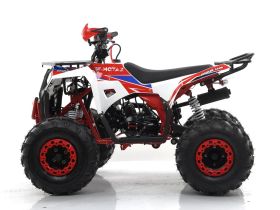 Квадроцикл MOTAX Grizlik A125