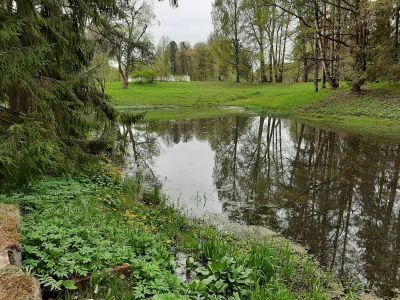 Пруд Верхний Старосильвийский с плотиной