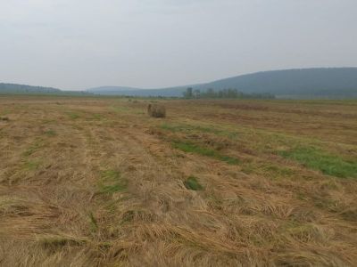 В Якутии работают мобильные бригады по заготовке сена