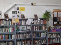 Ношинская сельская библиотека – филиал № 19