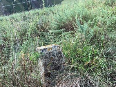 Стела № 43 раннемусульманского кладбища № 3 архитектурного комплекса "Мусийкъонгийкоте"