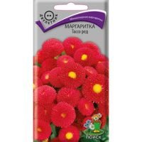 Маргаритка Тассо ред