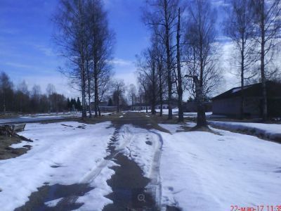 Усадебный комплекс. Парк