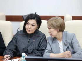 Айсен Николаев провел заседание Координационного совета по предпринимательству