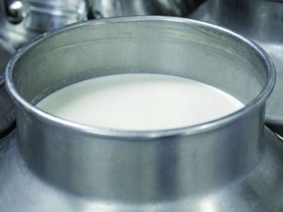 Более двух млрд рублей направлено на поддержку производства и переработки молока в районы Якутии