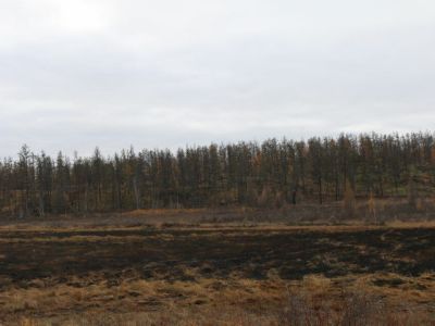 Сухую траву под контролем специалистов сжигают в Якутии