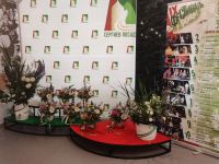 Драматический театр «Театральный ковчег» в Дубраве