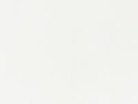 Простыня White Swan