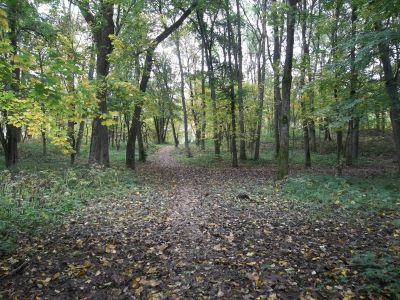 Усадебный парк