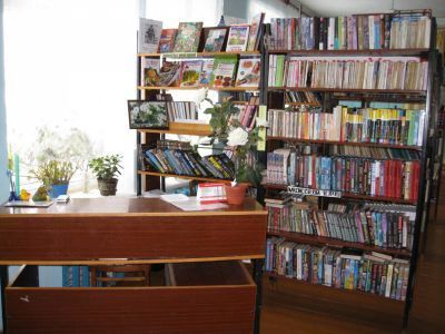 Пестеревская сельская библиотека