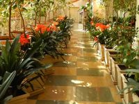 Государственный музей-заповедник «Царицыно»