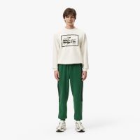 Мужские хлопковые спортивные брюки Lacoste приталенного кроя