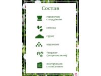 Набор для выращивания растений "Вырасти, Дерево!", "Сирийская роза"