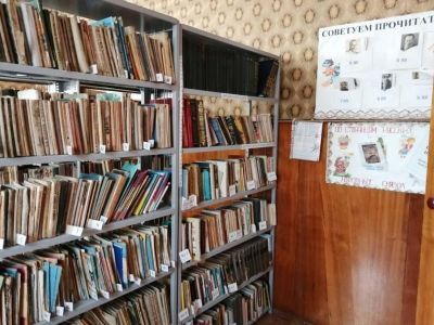 Большепестровская сельская библиотека