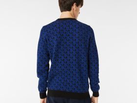 Мужской свитер Lacoste свободного кроя