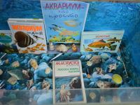 Репьевская сельская библиотека