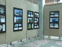 Сосновоборский художественный музей современного искусства