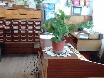 Библиотека п. Соколье