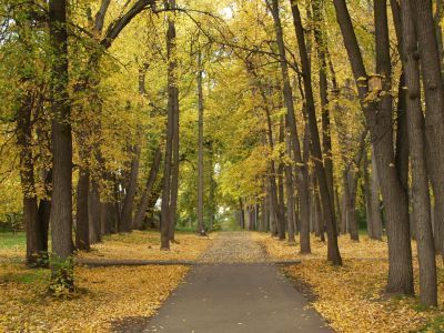 Александровский сад