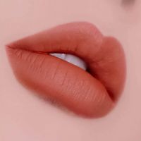 Вельветовый тинт для губ Holika Holika Velvet Blanket Tint 02 Salmon Cotton